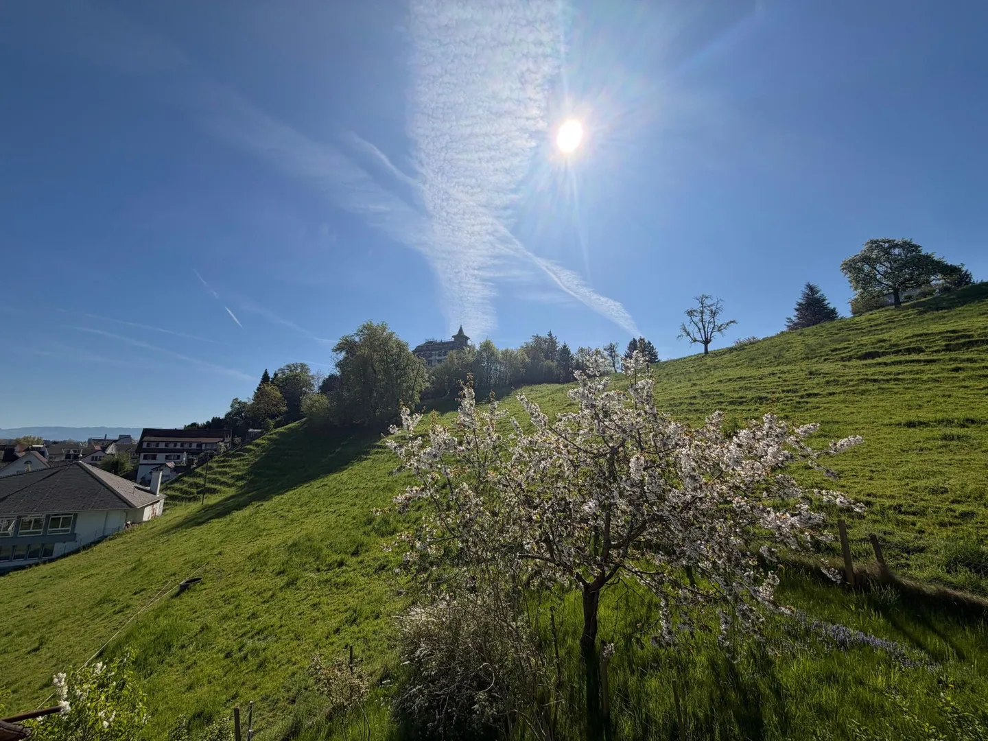 Appartamento unico di 7 stanze - Foto 8 di 8