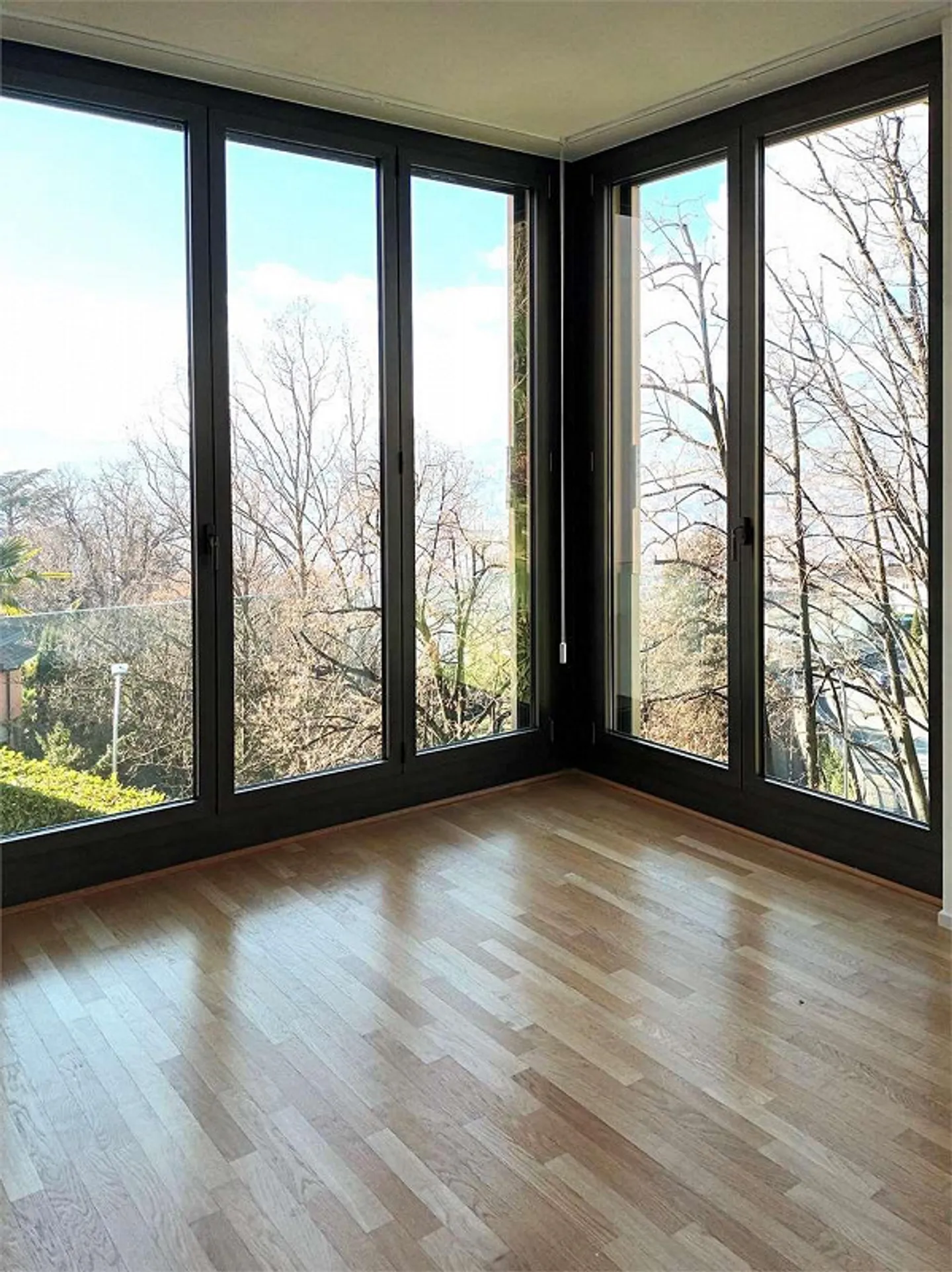 Ruvigliana, 5.5-room apartment immersed in greenery with lake view - Photo 8 of 8