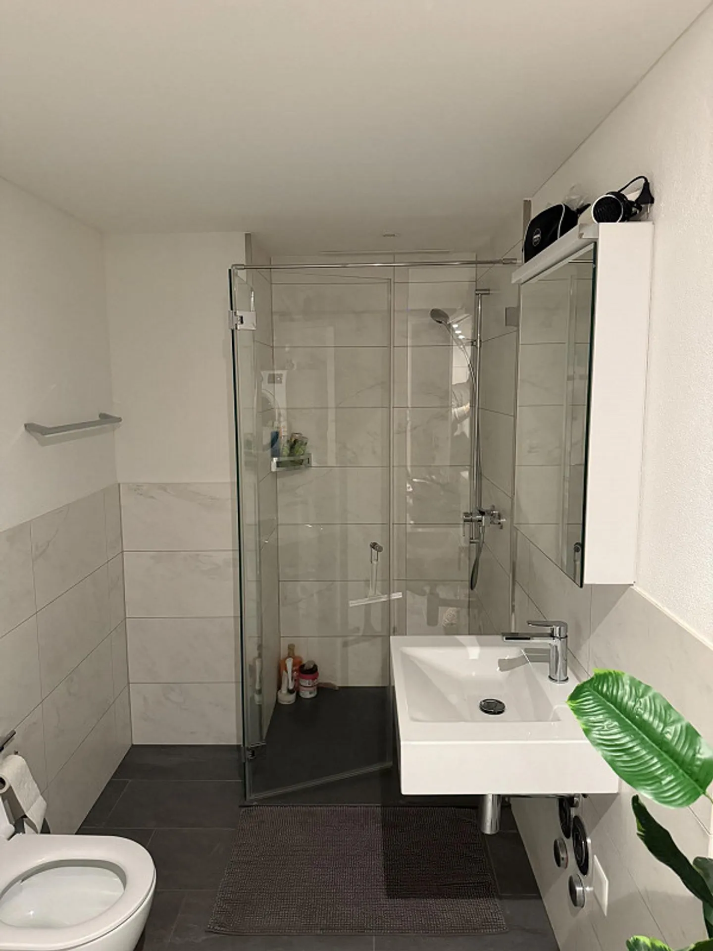 Appartement 2,5 pièces Arth Nouvelle Construction - Photo 5 sur 8