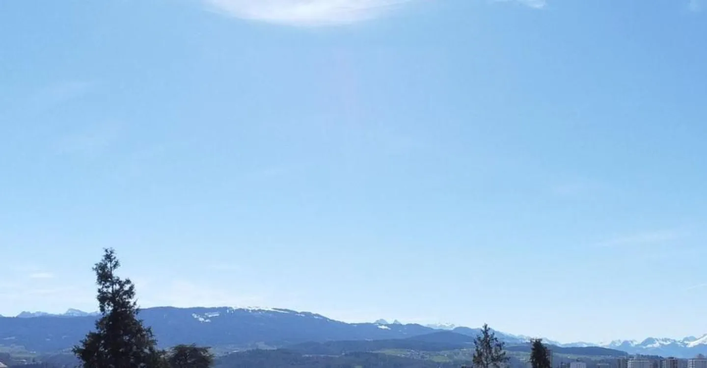 The Residences "Mont-Blanc" in Fribourg - Photo 10 of 12