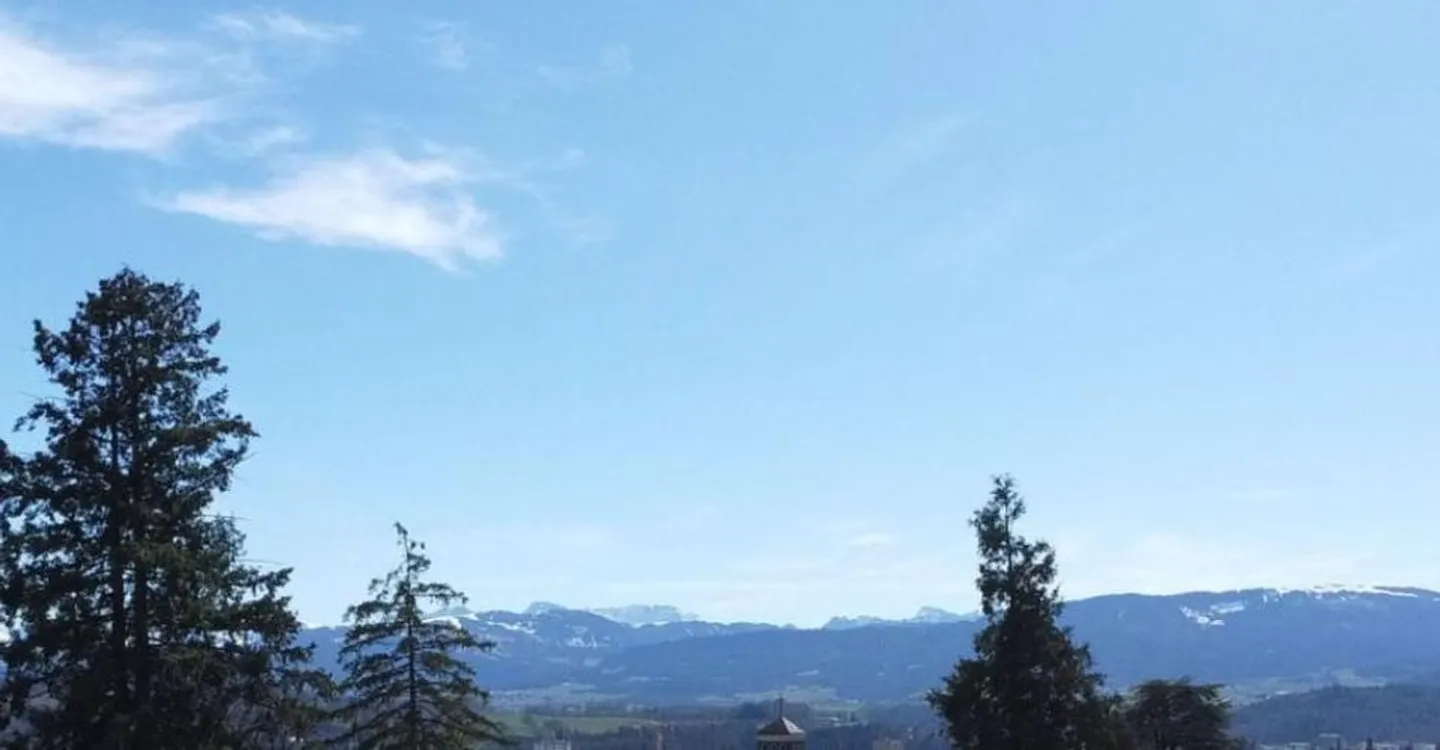 The Residences "Mont-Blanc" in Fribourg - Photo 11 of 12