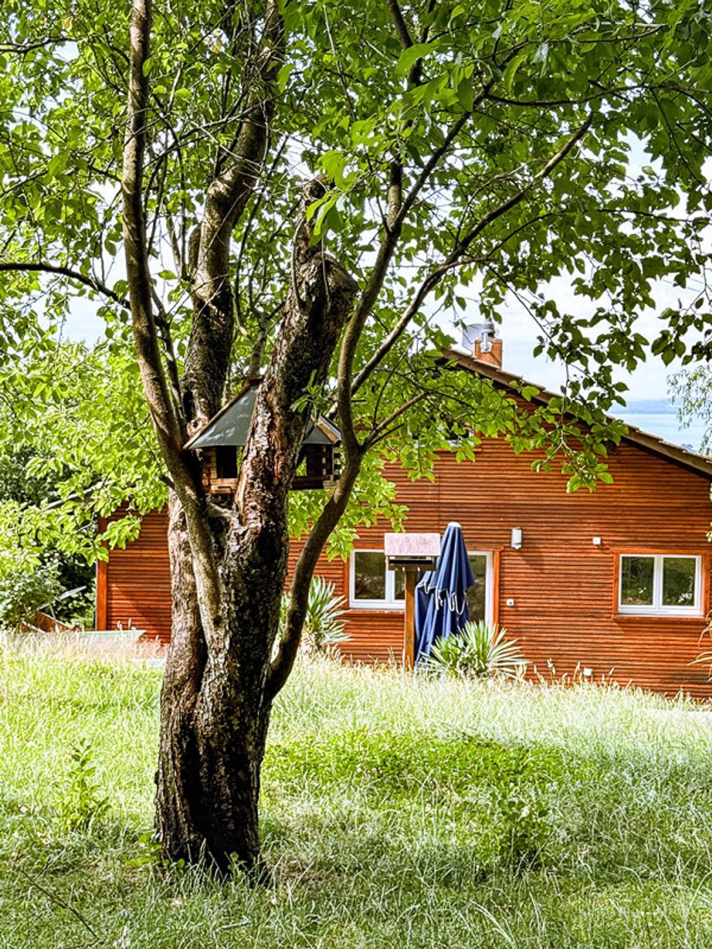Votre maison dans le vert – avec panorama sur le lac de Constance - Photo 22 sur 30