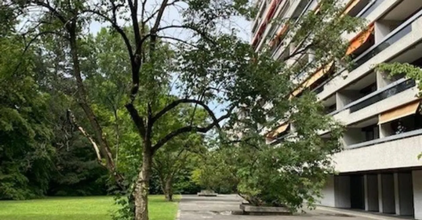 Wunderschöne Wohnung in Eaux-Vives - Foto 1 von 6