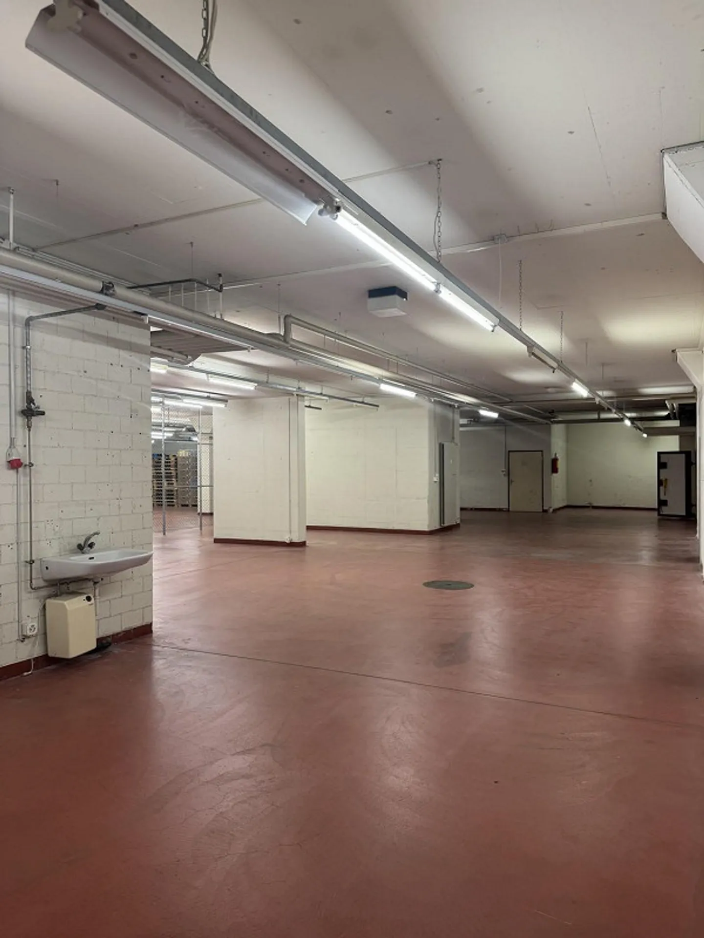 Geräumige Gewerbefläche in Pratteln - Foto 3 von 11