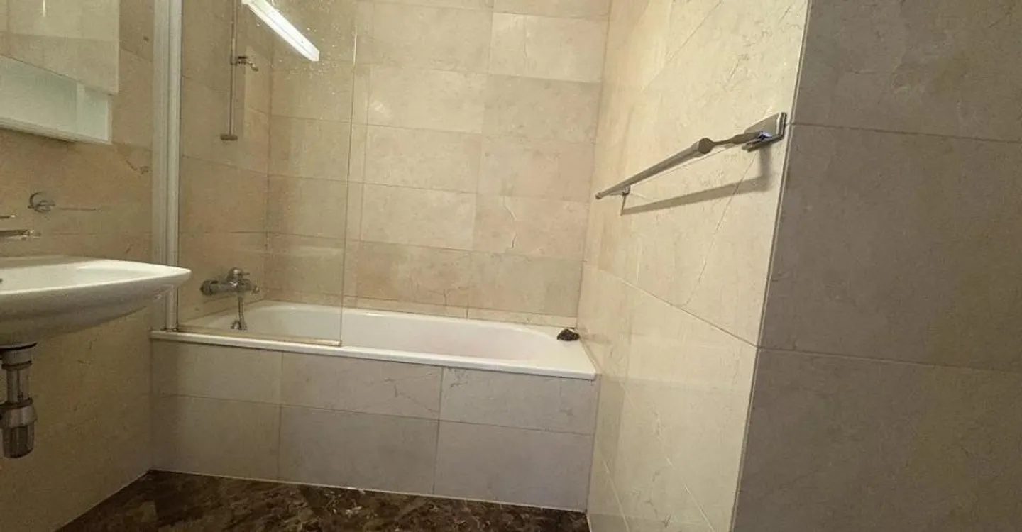Wunderschöne Wohnung in Eaux-Vives - Foto 4 von 6