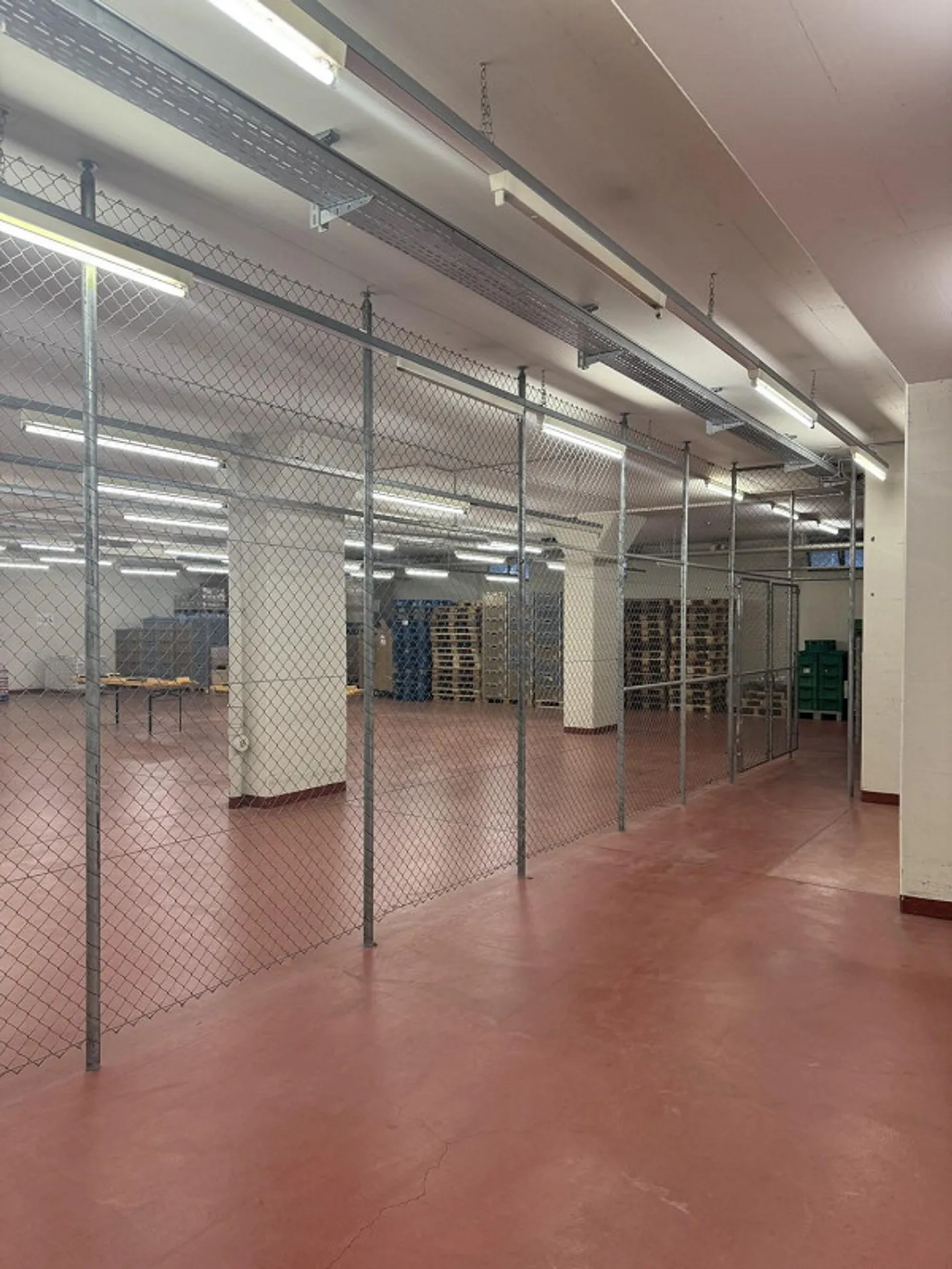 Geräumige Gewerbefläche in Pratteln - Foto 5 von 11