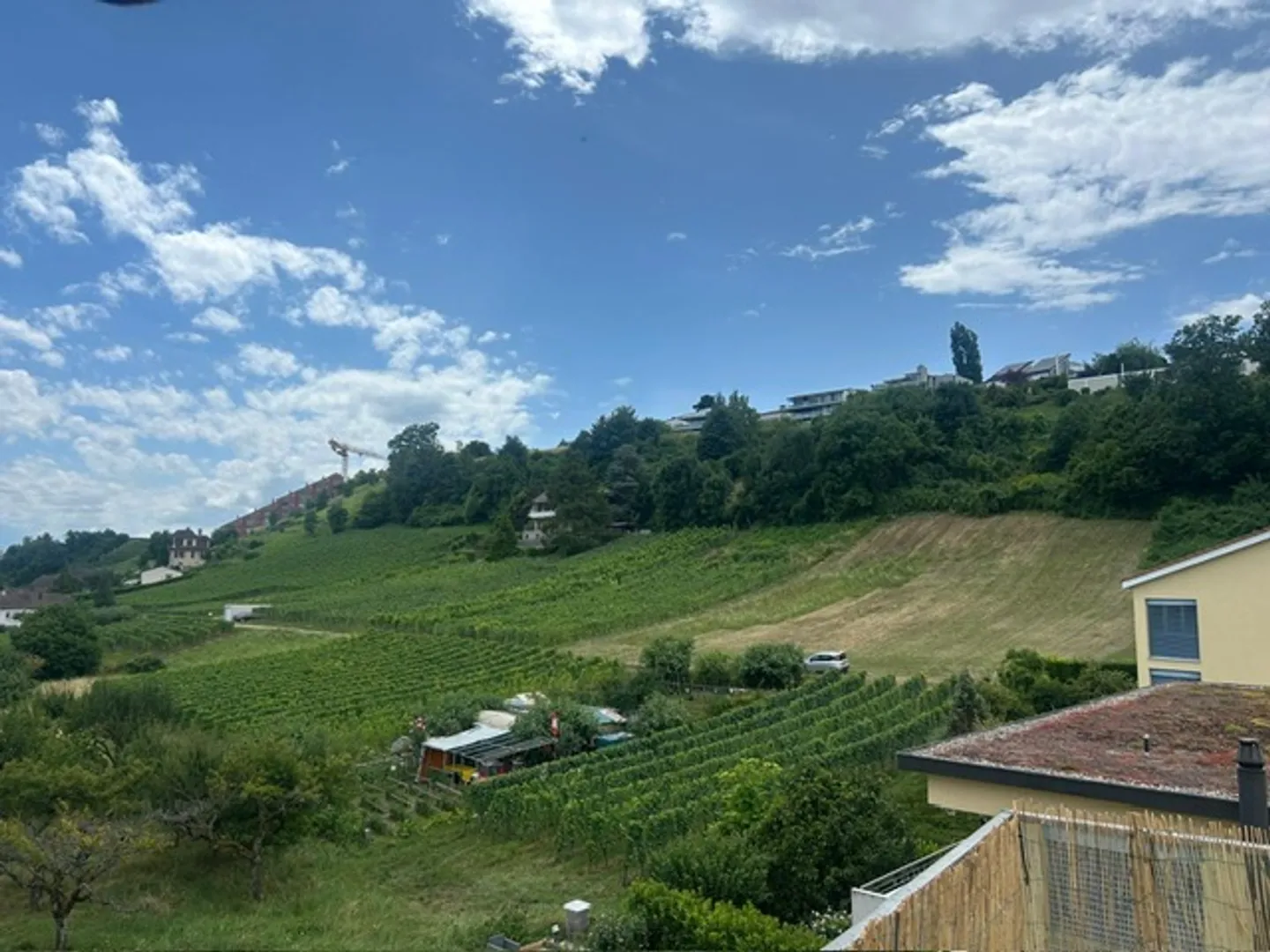 Attico 3.5 stanze - Foto 7 di 7