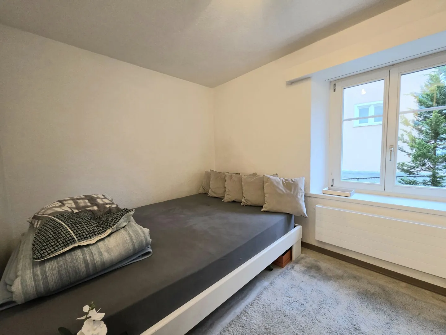 Rara opportunità di investimento nel fiorente Fricktal! Casa plurifamiliare con potenziale di espansione - Foto 8 di 13