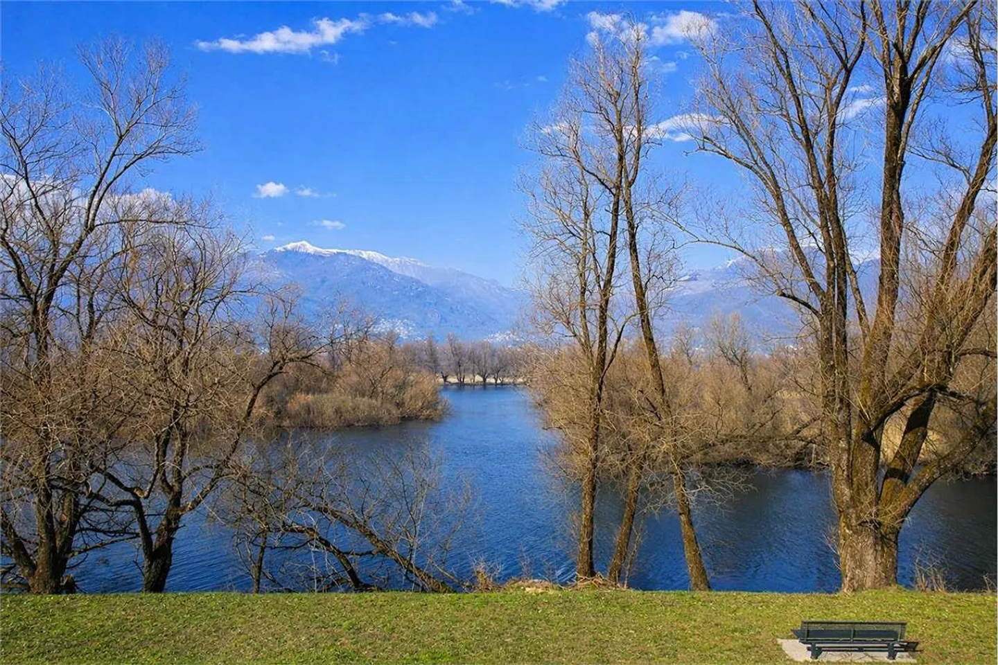 Magadino - 3.5 with garden by the lake - Rent to Buy - Photo 12 of 13