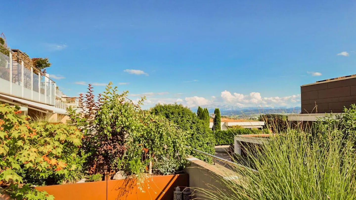Spacious 3.5-Room Terrace Apartment - Photo 17 of 18
