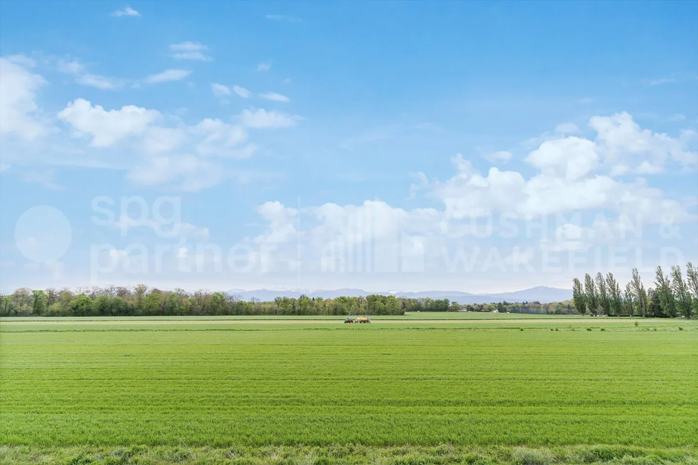 Nuovo a Gland - Grande superficie commerciale - industriale / 600m2 - Foto 4 di 9