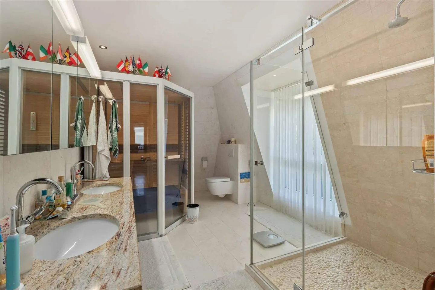 Luxury Duplex Apartment in the Heart of Nyon - Photo 7 of 12