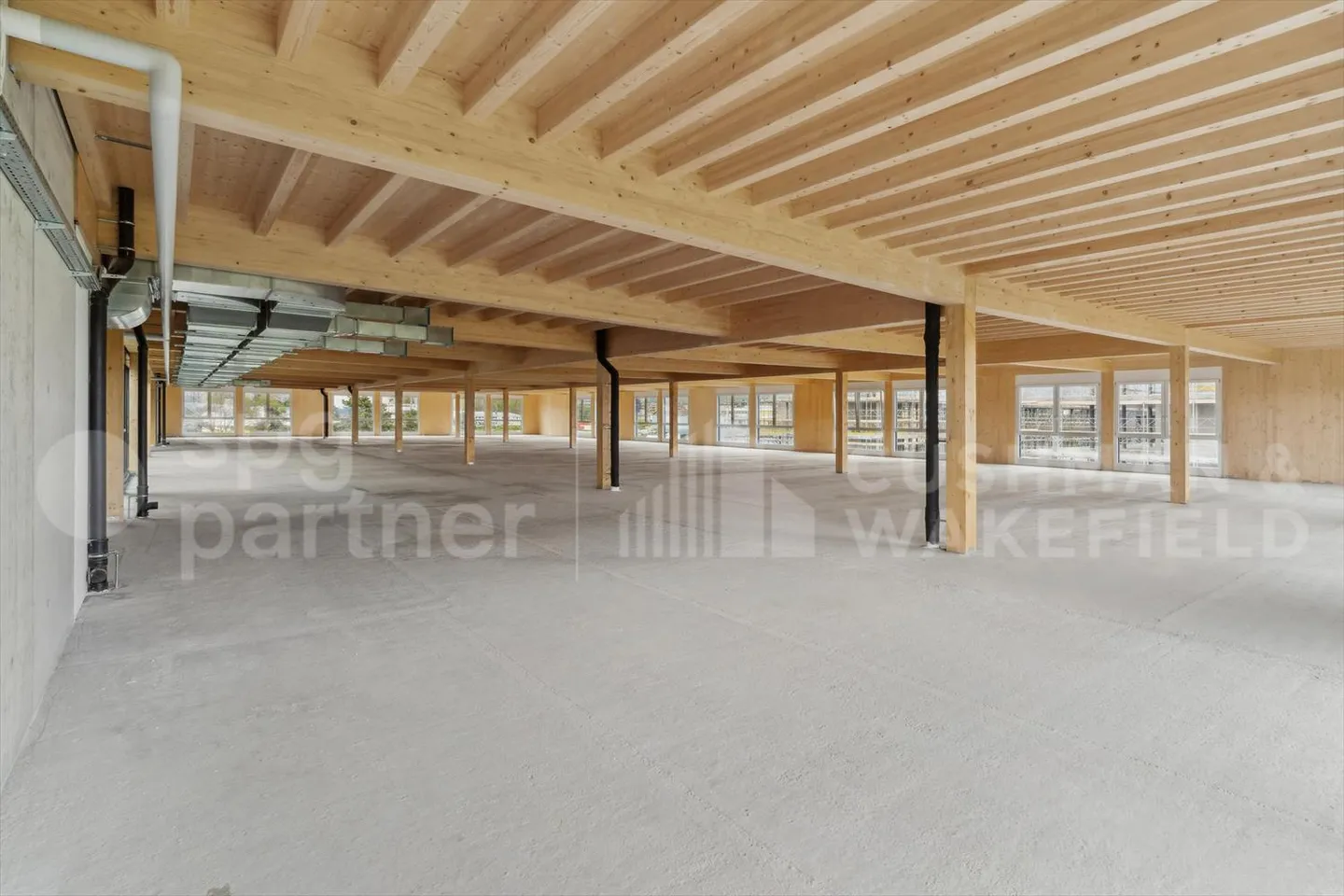 Nuovo a Gland - Grande superficie commerciale - industriale / 600m2 - Foto 7 di 9