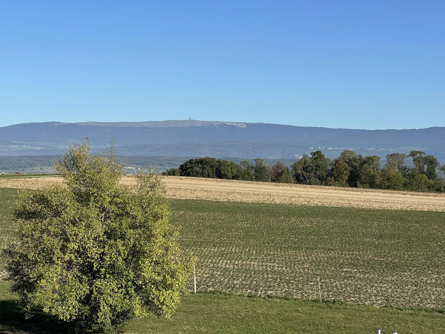 Spacious living with great views, wide outlook and relaxation - Photo 8 of 9