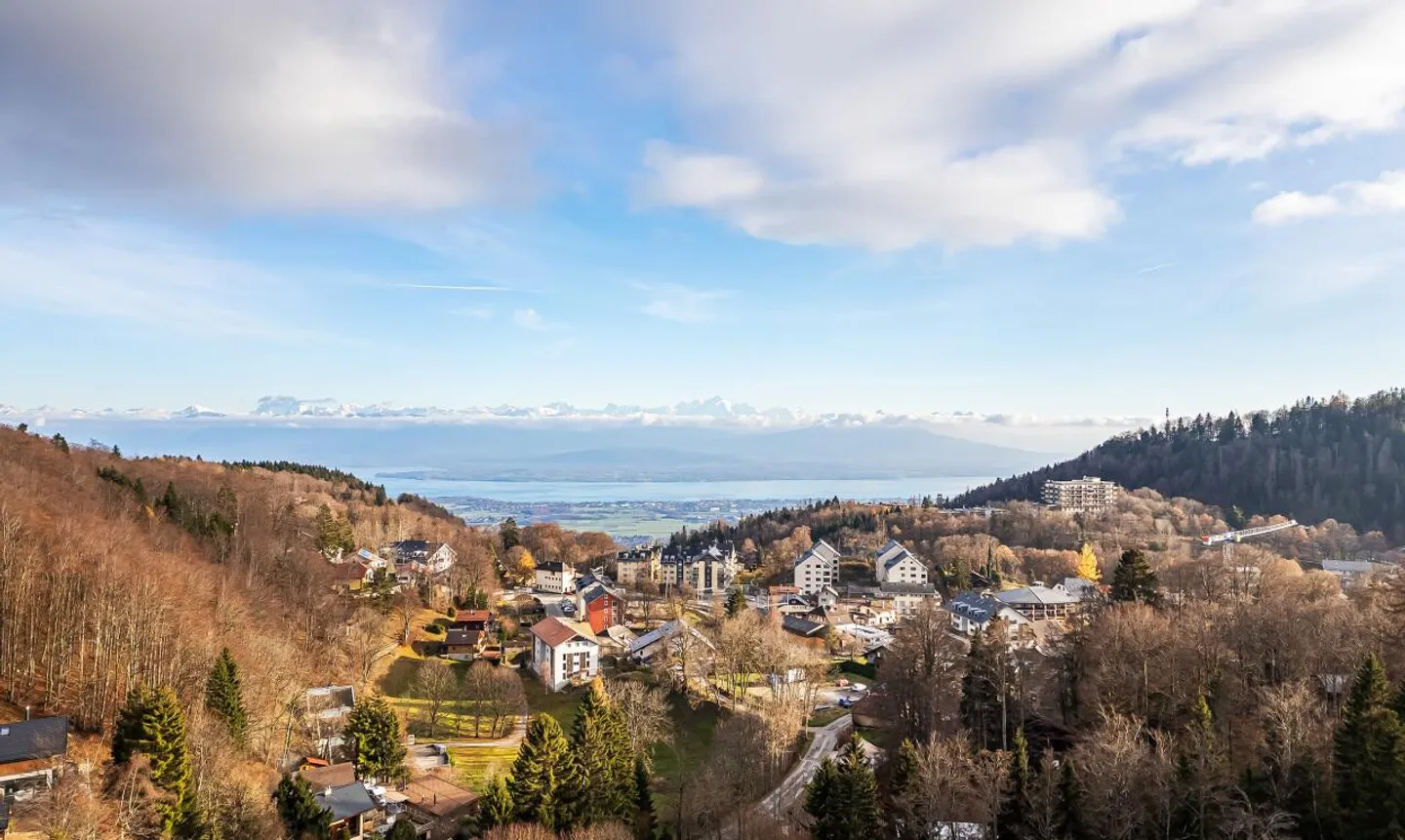 Chalet d’exception à St-Cergue, vue panoramique lac et montagnes - Foto 3 di 11