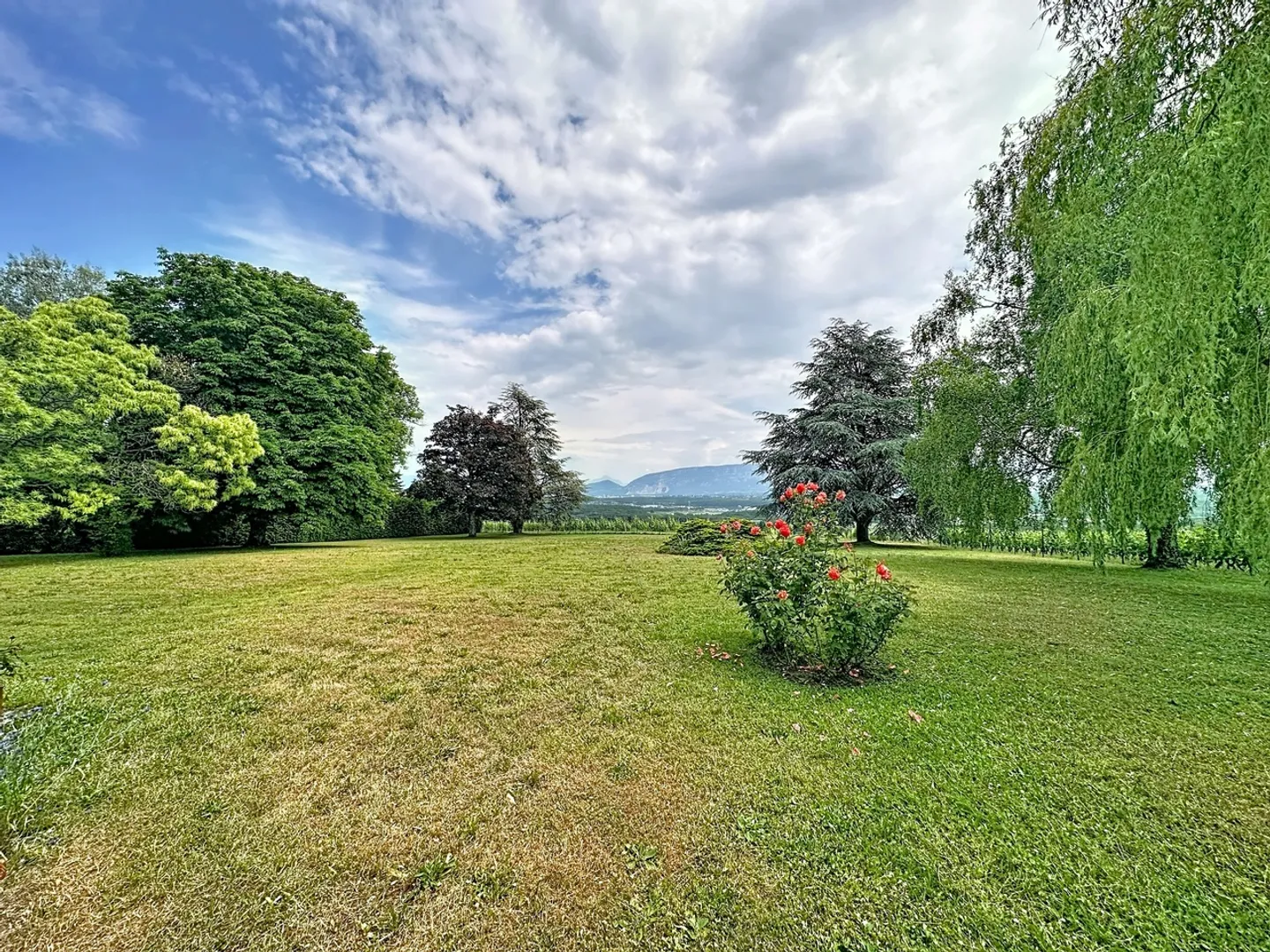 Luxuriöse Villa mit Garten - Foto 11 von 11