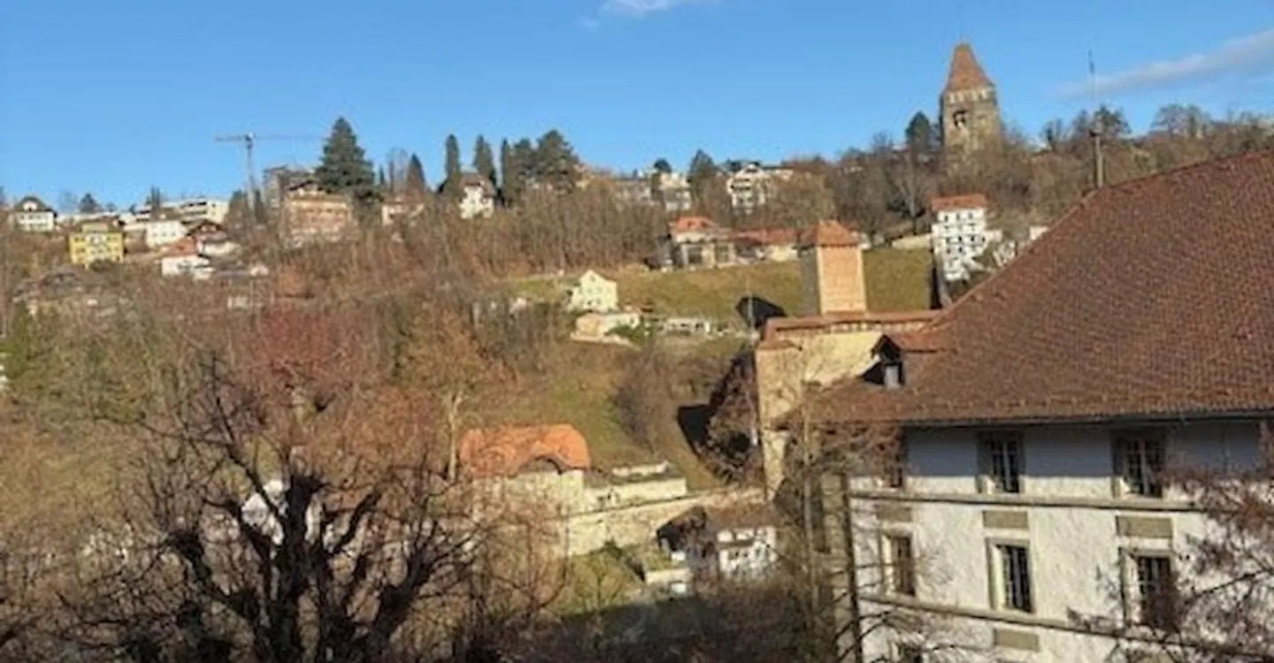 Triplex Charmant à Fribourg - Photo 10 sur 10