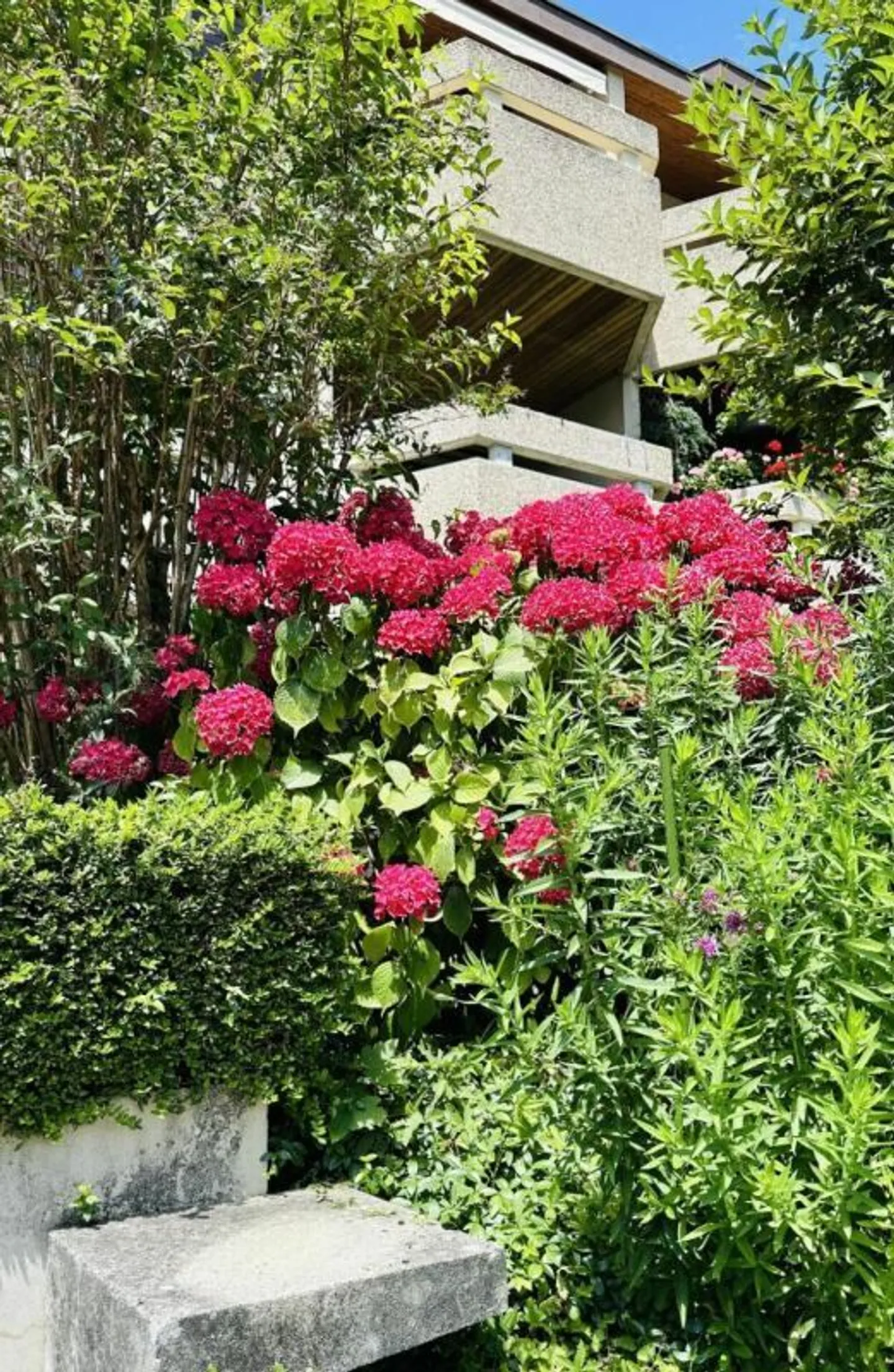 Appartamento 5.5 locali a Cologny - Foto 5 di 41