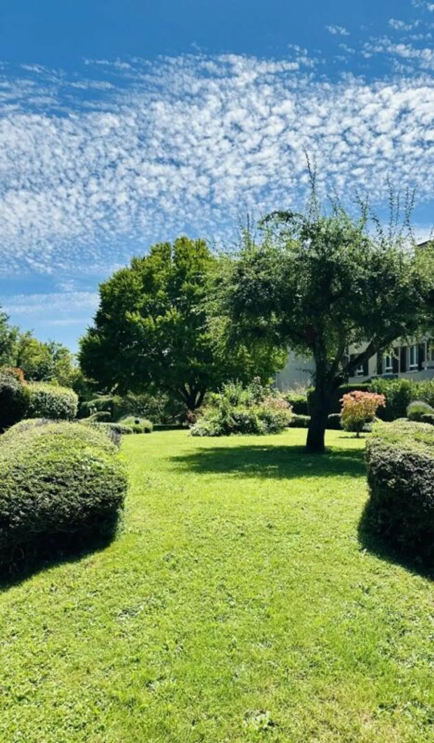 Appartamento 5.5 locali a Cologny - Foto 7 di 41