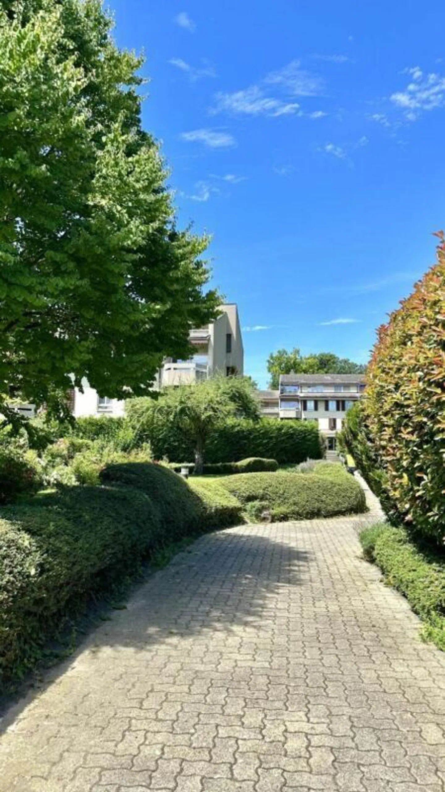 Appartamento 5.5 locali a Cologny - Foto 8 di 41