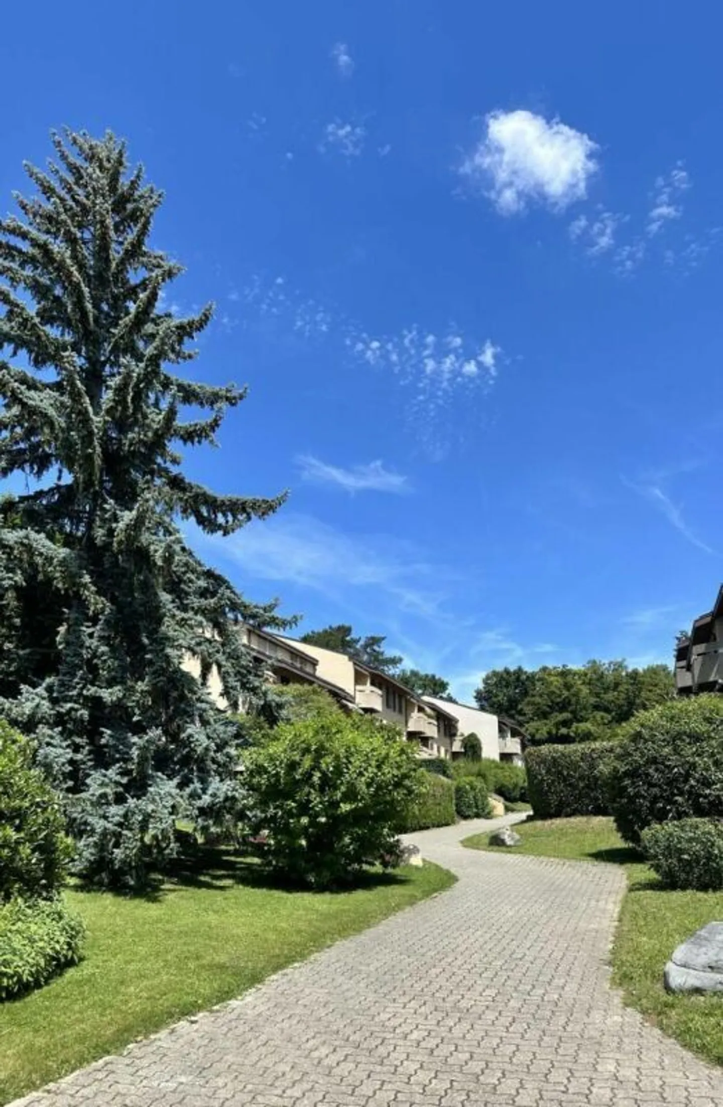 Appartamento 5.5 locali a Cologny - Foto 6 di 41