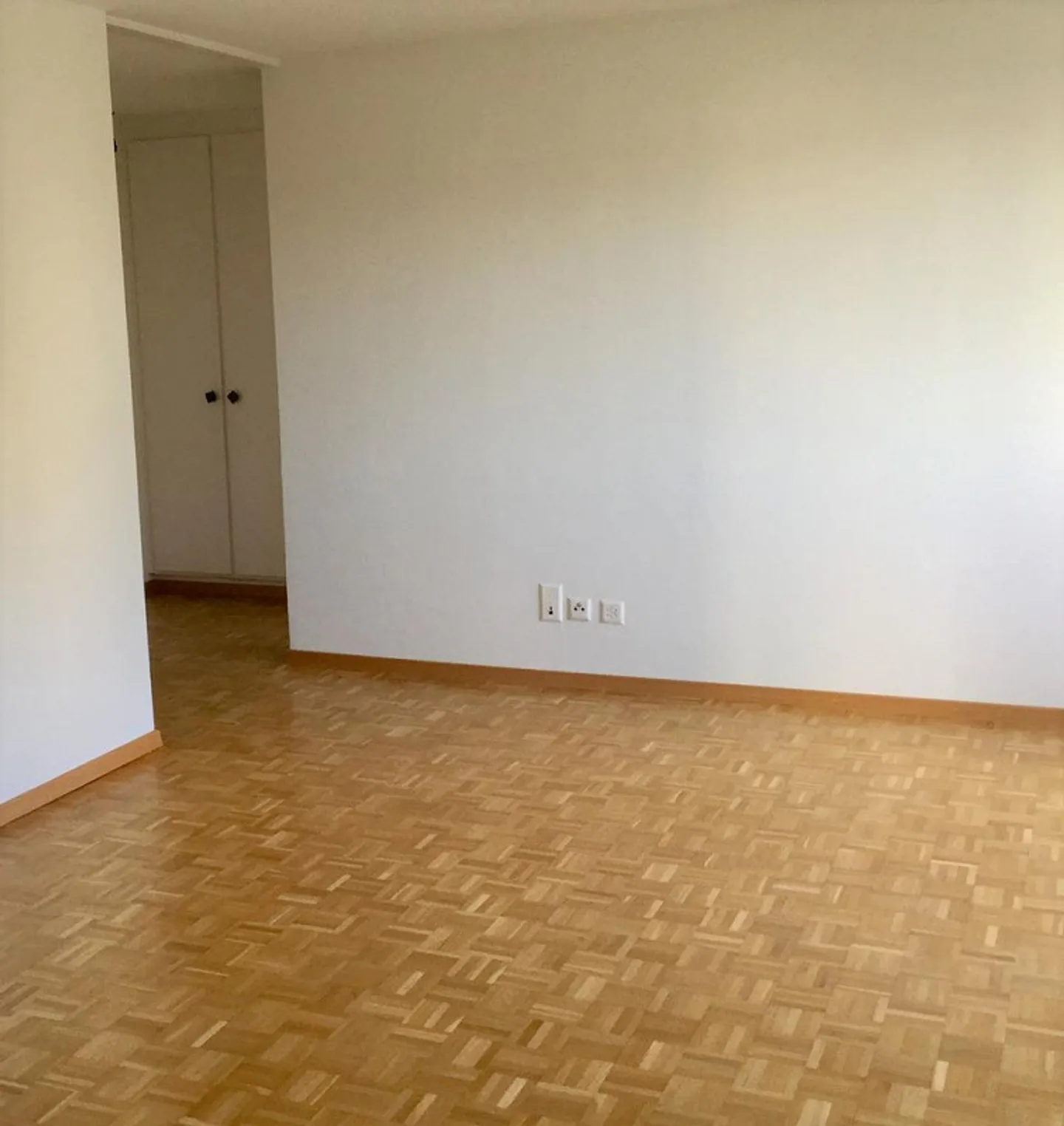 Visita: Mercoledì 20 maggio 2026 dalle 17:45 alle 18:30 - Foto 7 di 11