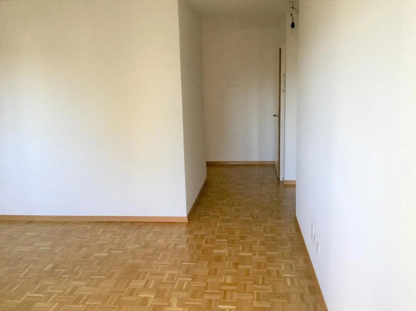 Visita: Mercoledì 20 maggio 2026 dalle 17:45 alle 18:30 - Foto 9 di 11