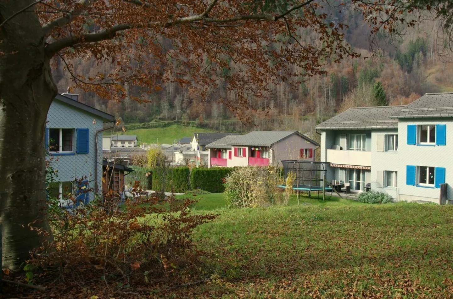 VIE RALENTIE - Photo 4 sur 14