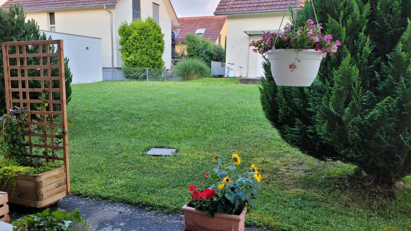 Luminoso appartamento di 2 stanze al piano terra - Foto 4 di 4