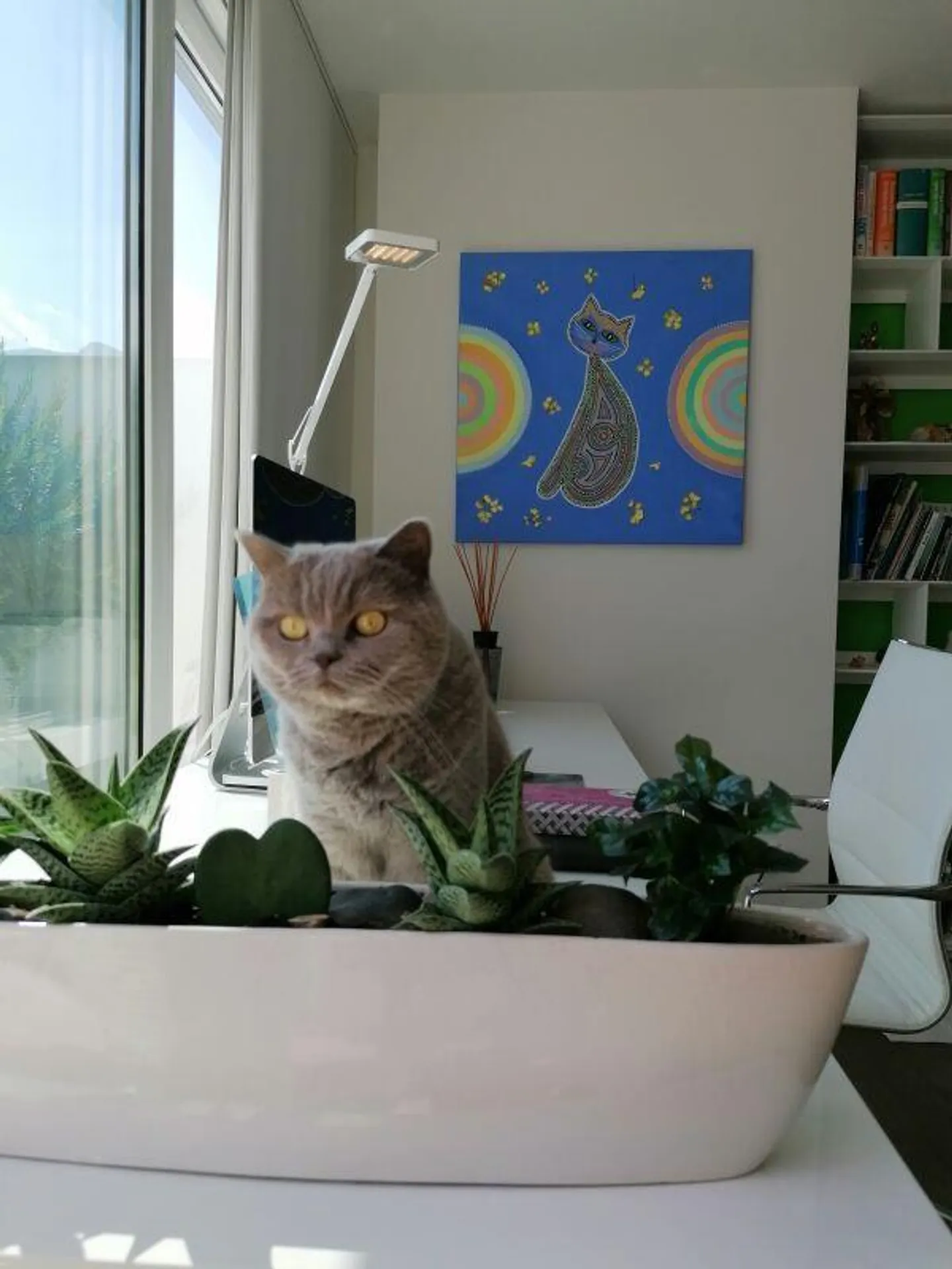 Attico di Lusso con Grande Terrazza - Foto 2 di 13