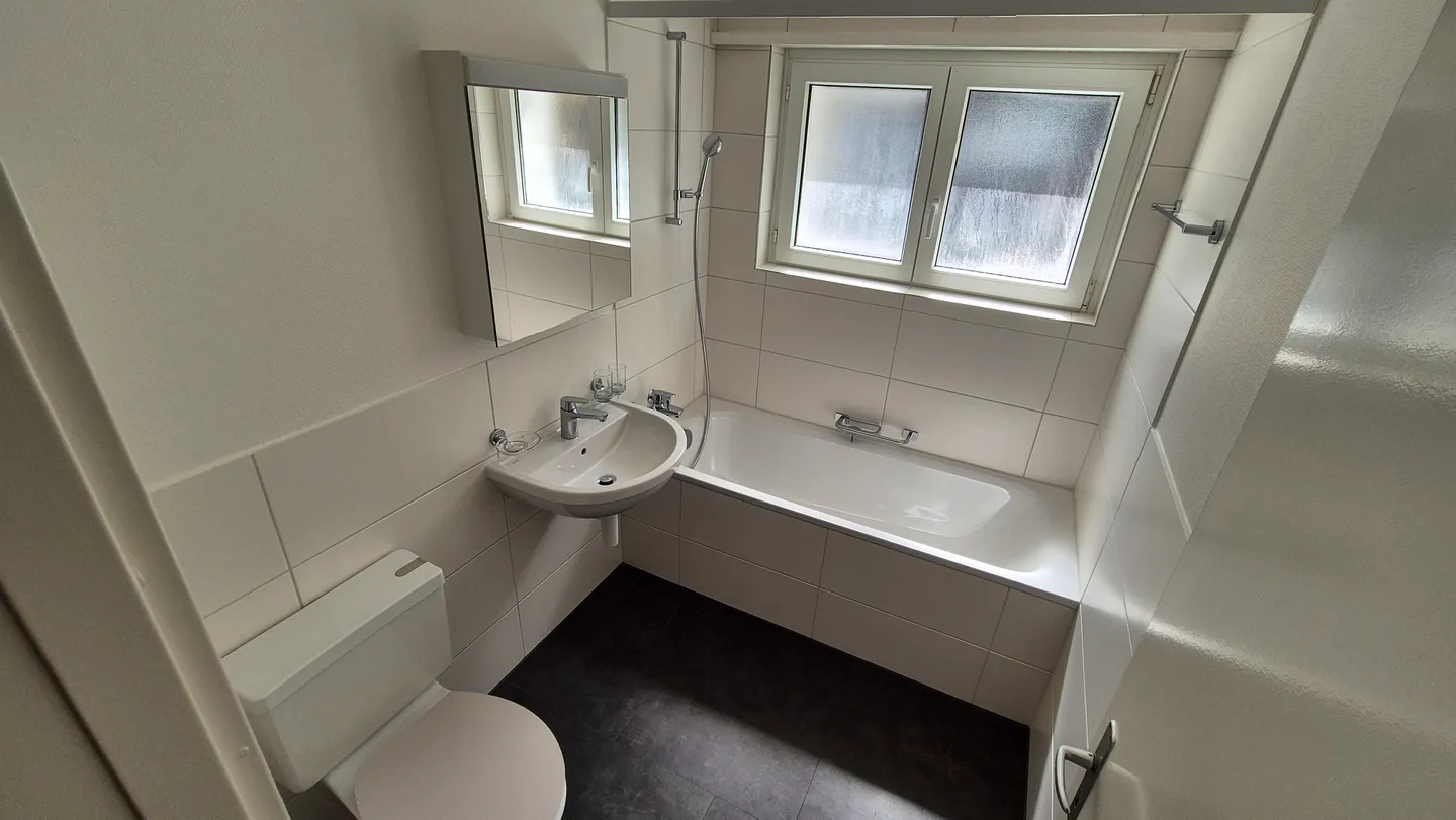 Sanierte 3 Zimmerwohnung in Allschwil - Foto 4 von 7