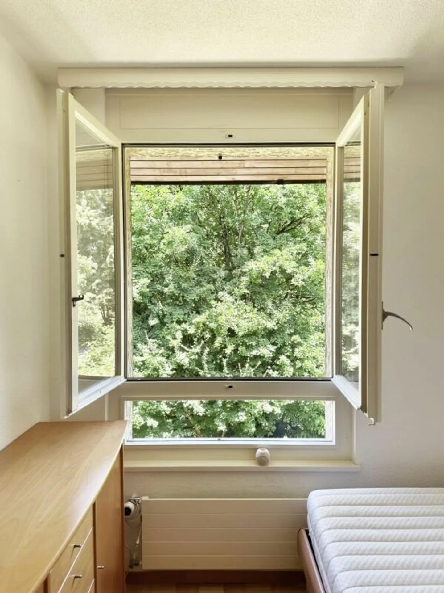 Appartamento 5.5 locali a Cologny - Foto 40 di 41