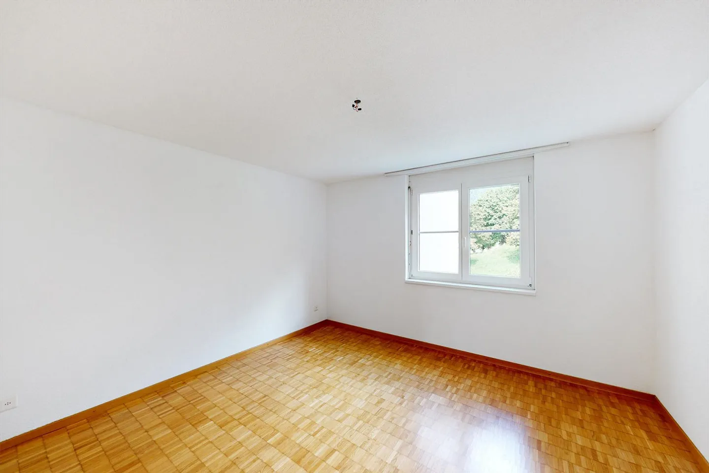 Sunny and quiet apartment with terrace - Photo 5 of 5