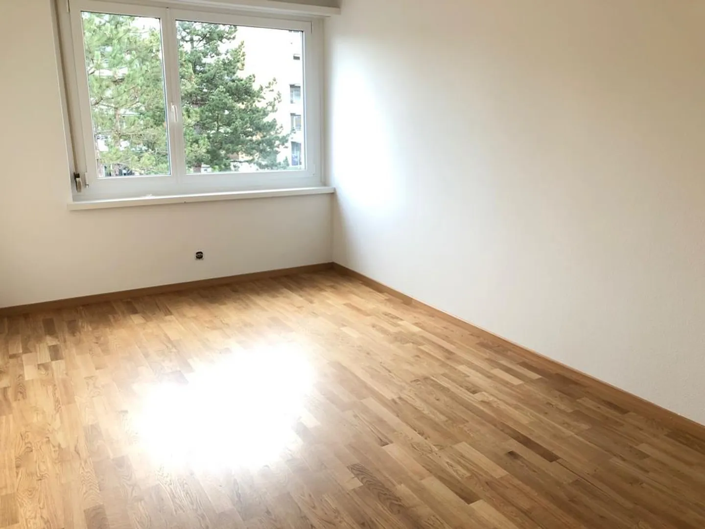 Appartamento 4 1/2 stanze con area giardino cerca inquilino - Foto 6 di 6