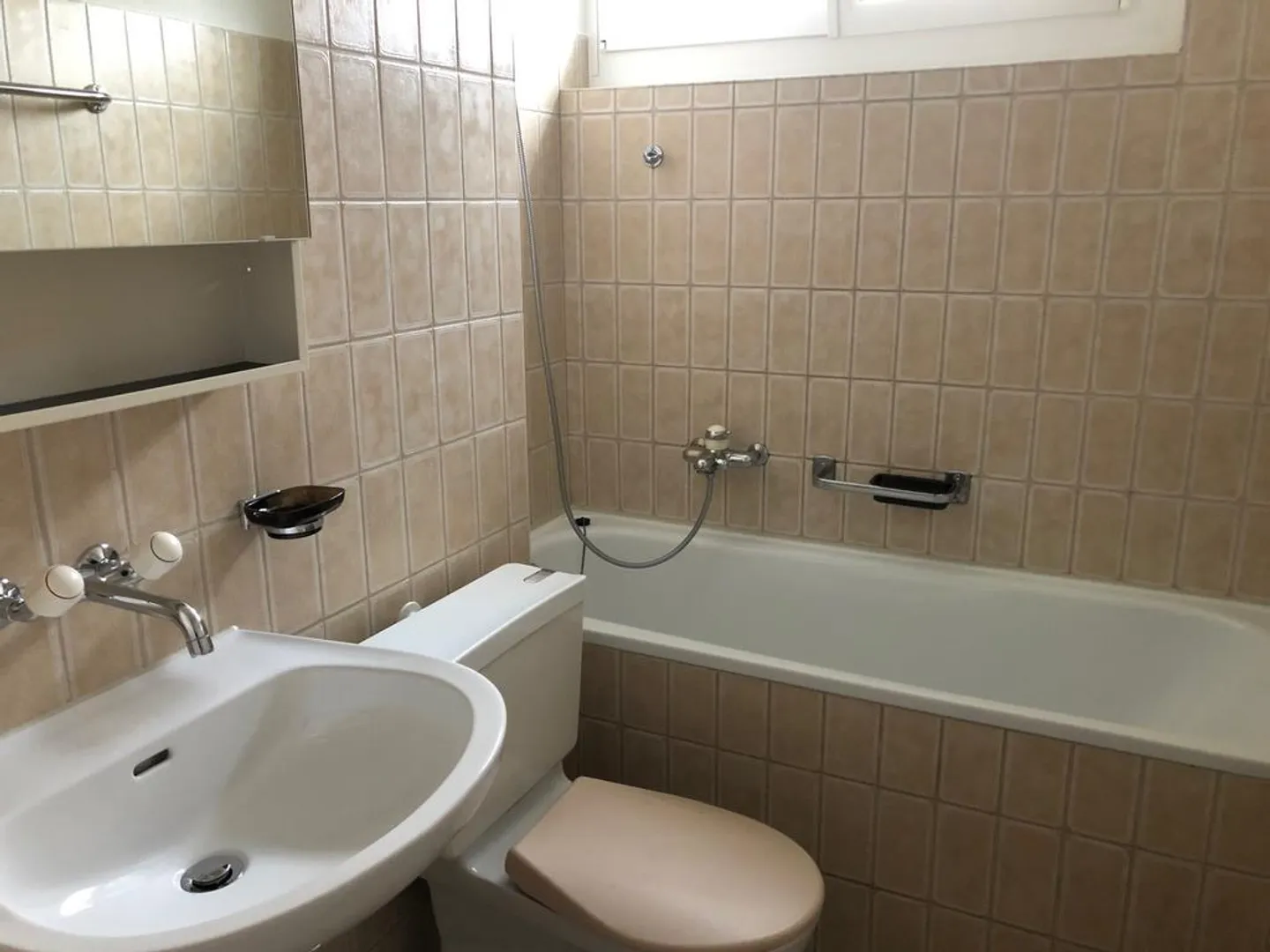 Appartamento 4 1/2 stanze con area giardino cerca inquilino - Foto 3 di 6