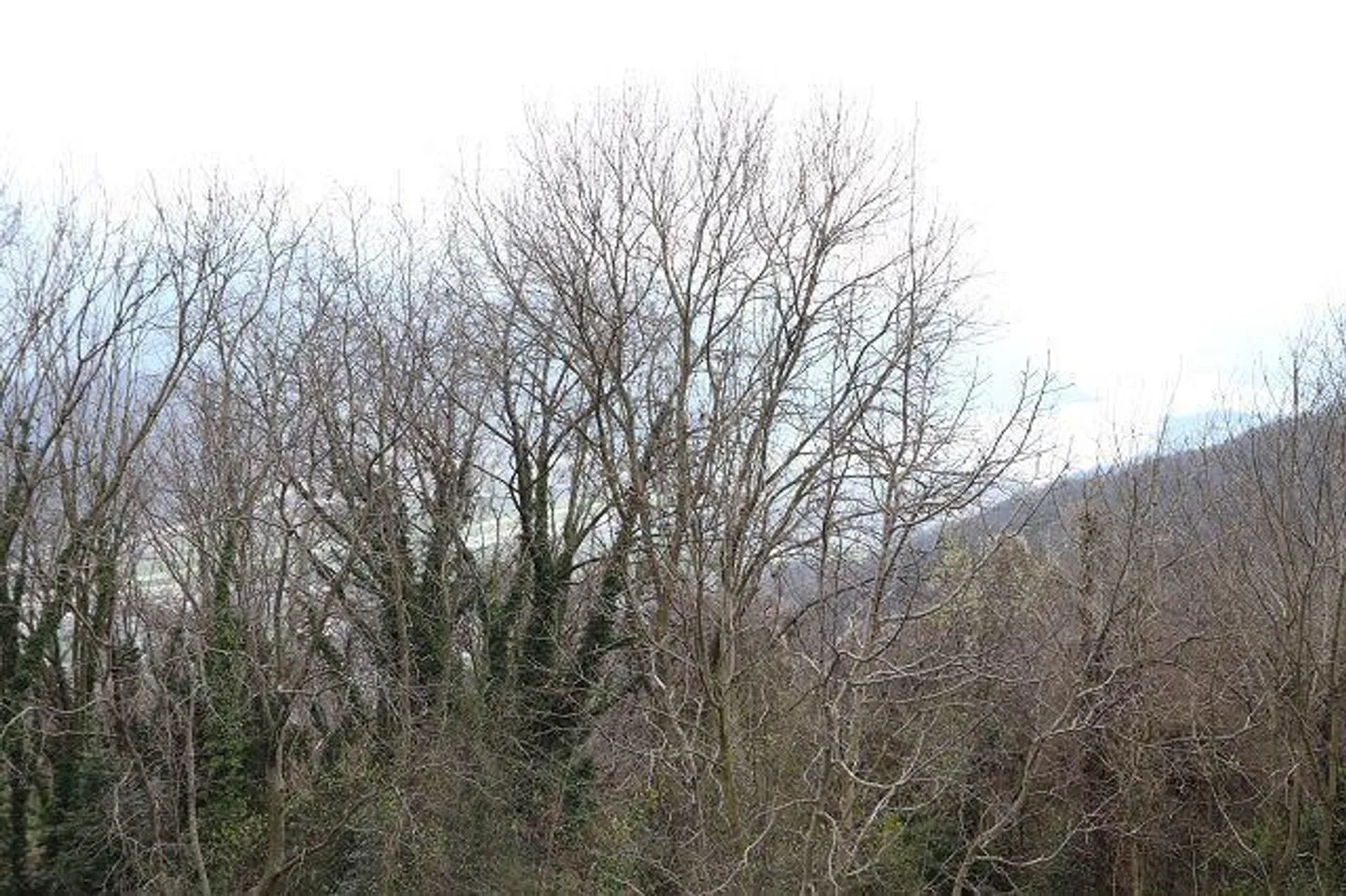 Piccolo rustico da ristrutturare in una posizione meravigliosa con una vista spettacolare - Foto 5 di 9
