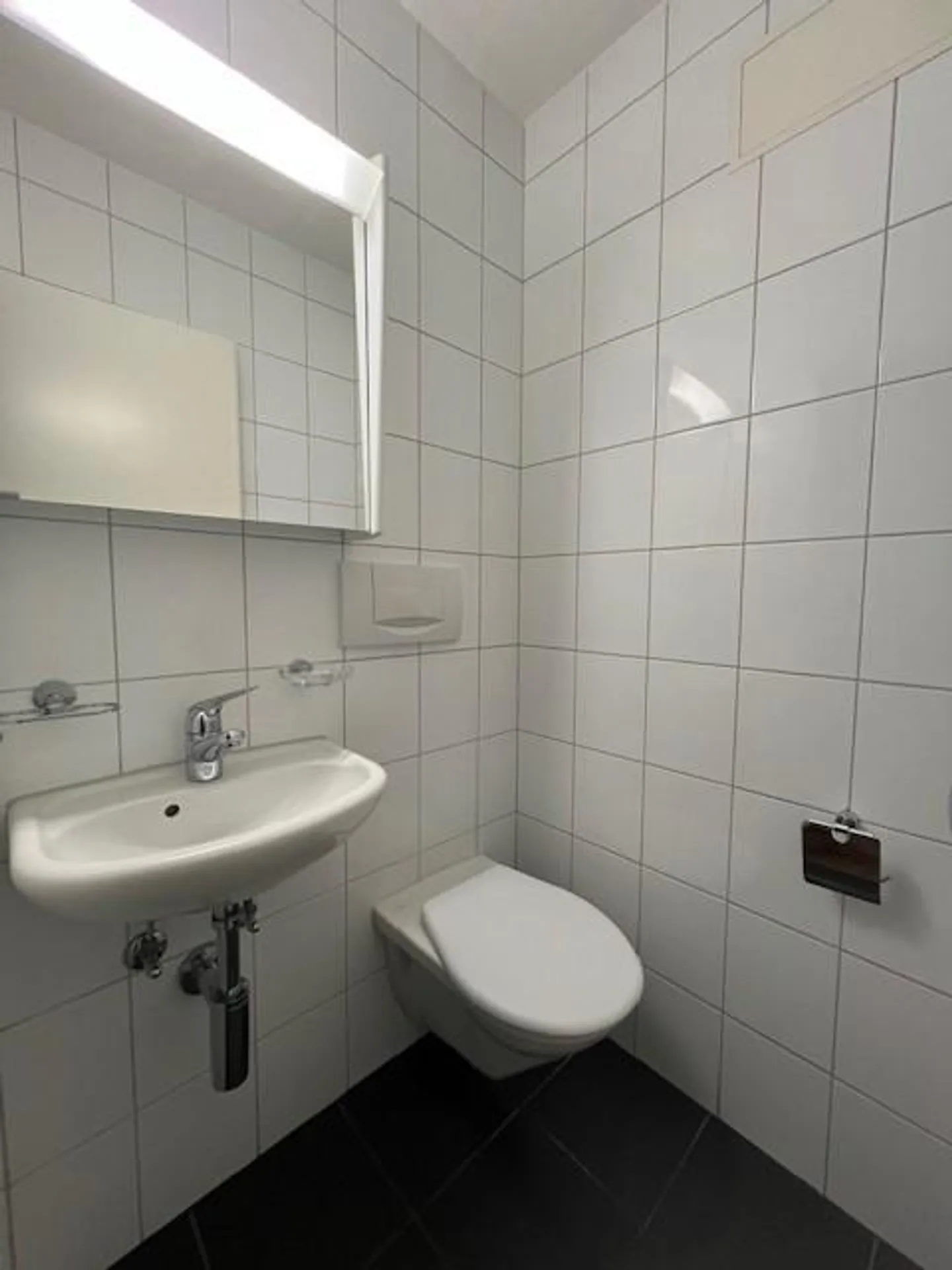 3.0 Room Apartment in Adlikon near Regensdorf - Photo 6 of 6
