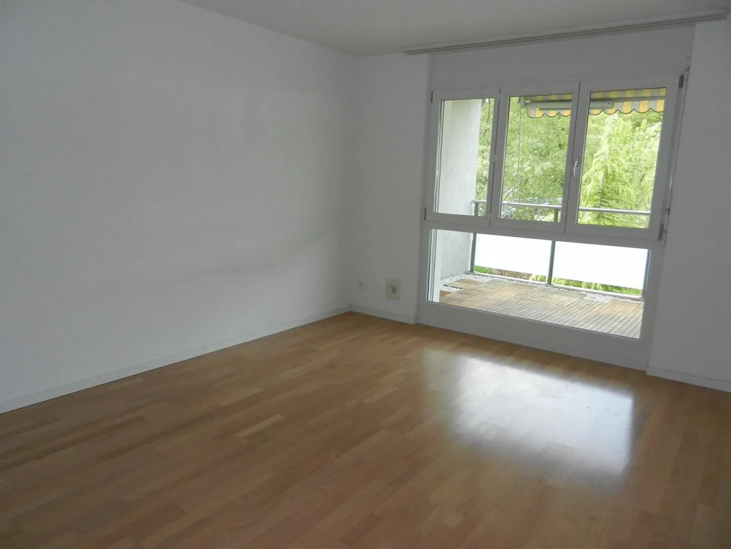 Attention, ready - live! - Photo 5 of 6