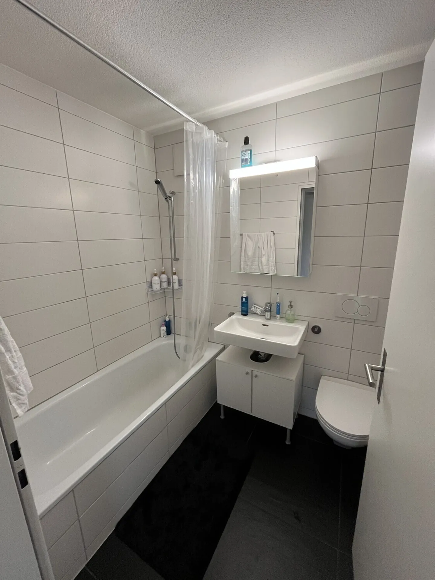 APPARTEMENT À SCHLIEREN (ZH), MEUBLÉ, TEMPORAIRE - Photo 5 sur 8