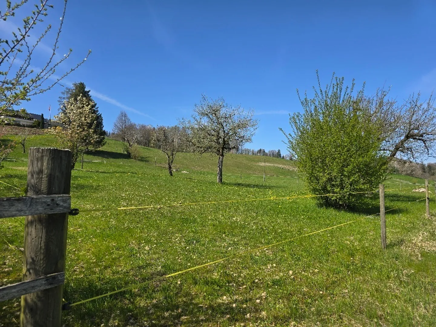La tua occasione a Maur - terreni attraenti in vendita! - Foto 14 di 14