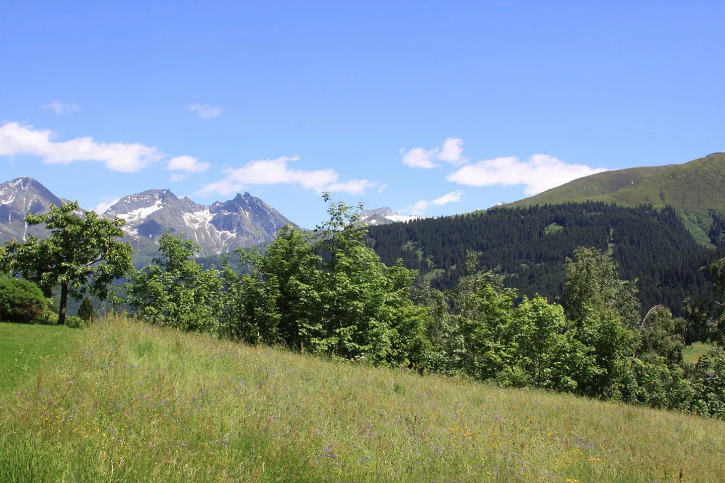 Building plot with free and sunny mountain view - Photo 4 of 6