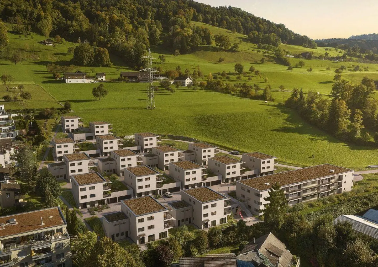 Roots - Foto 11 von 11