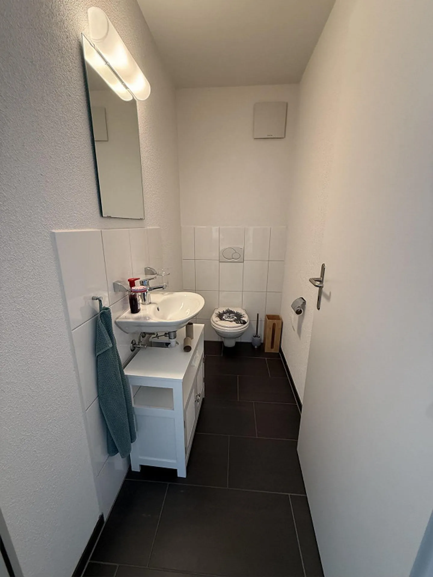 3.5 Room Apartment in Rafz - Photo 4 of 10