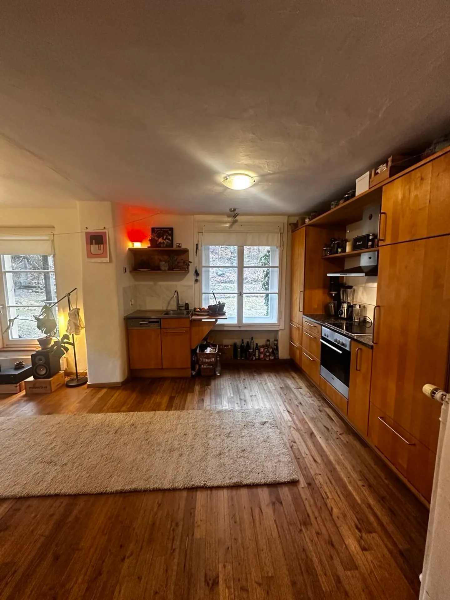 3½ ROOM APARTMENT IN UETLIBERG (ZH), FURNISHED, TEMPORARY - Photo 3 of 7