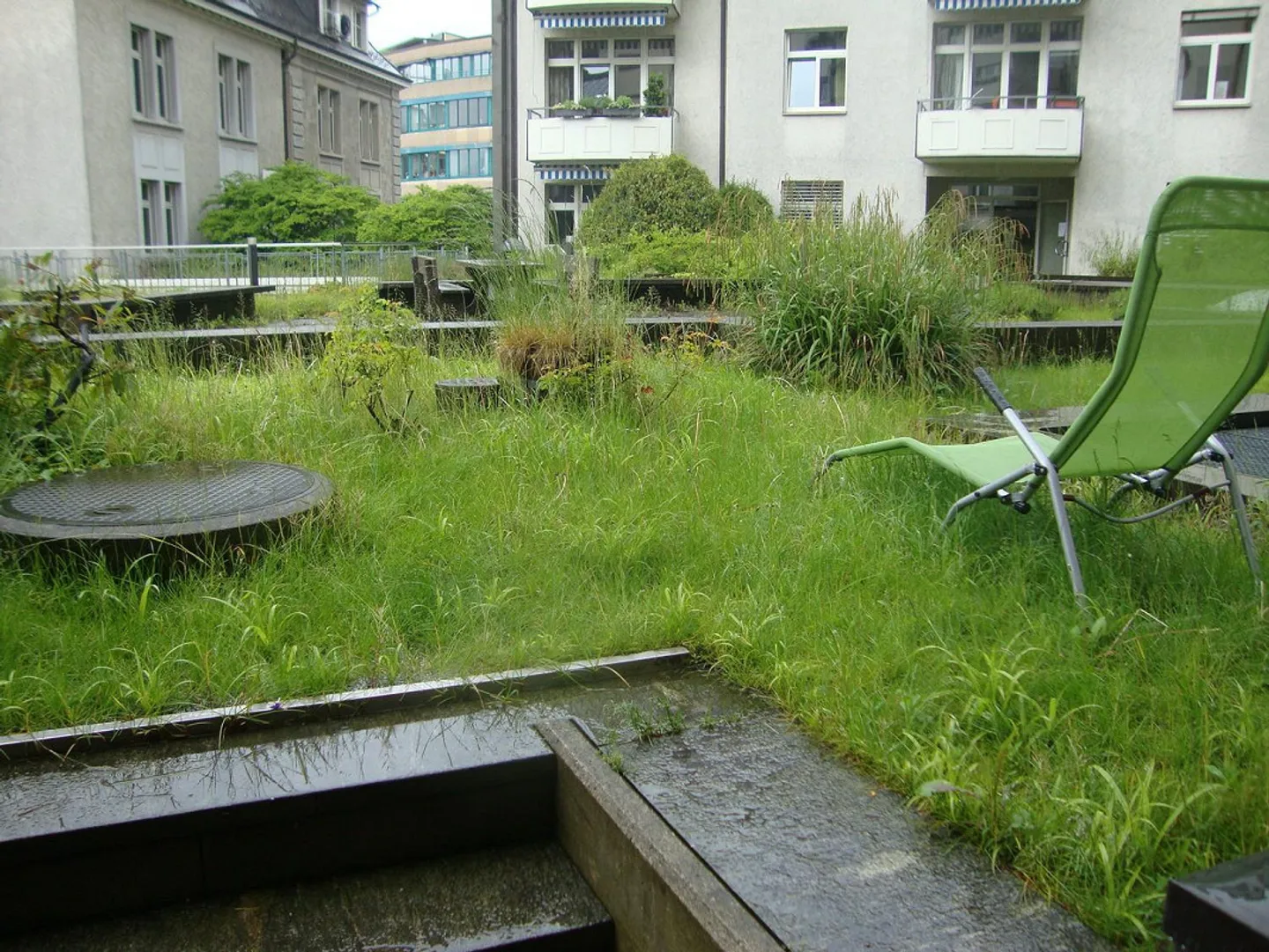 Living at Stauffacher (TEMPORARY until March 31, 2027) - Photo 11 of 13