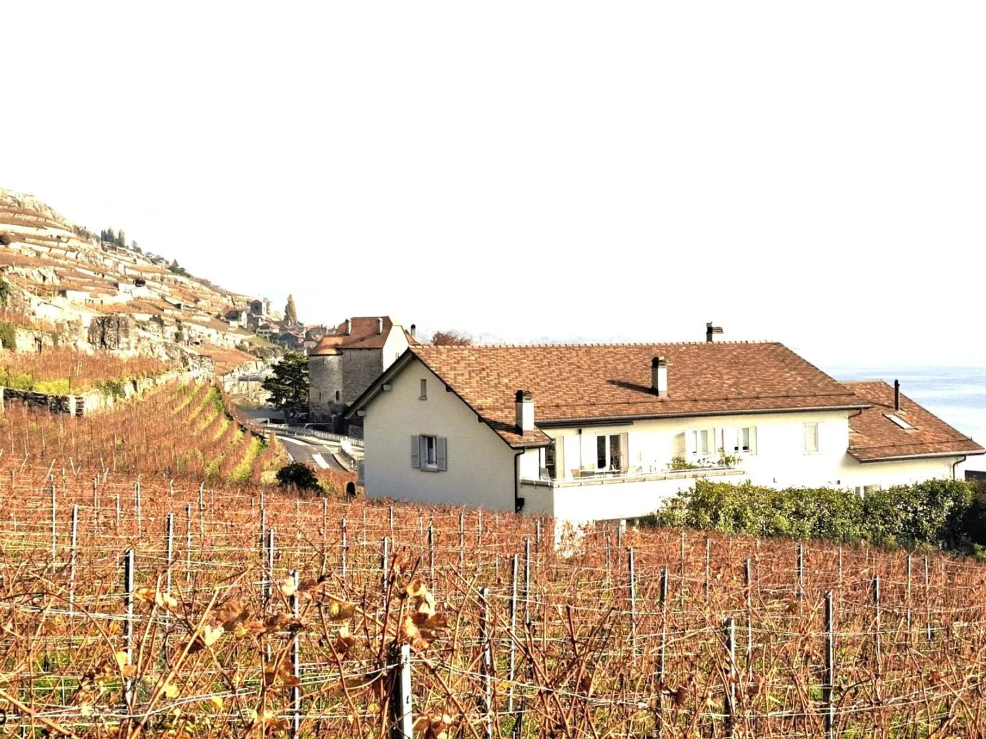 Charming Apartment in Rivaz - Photo 8 of 11