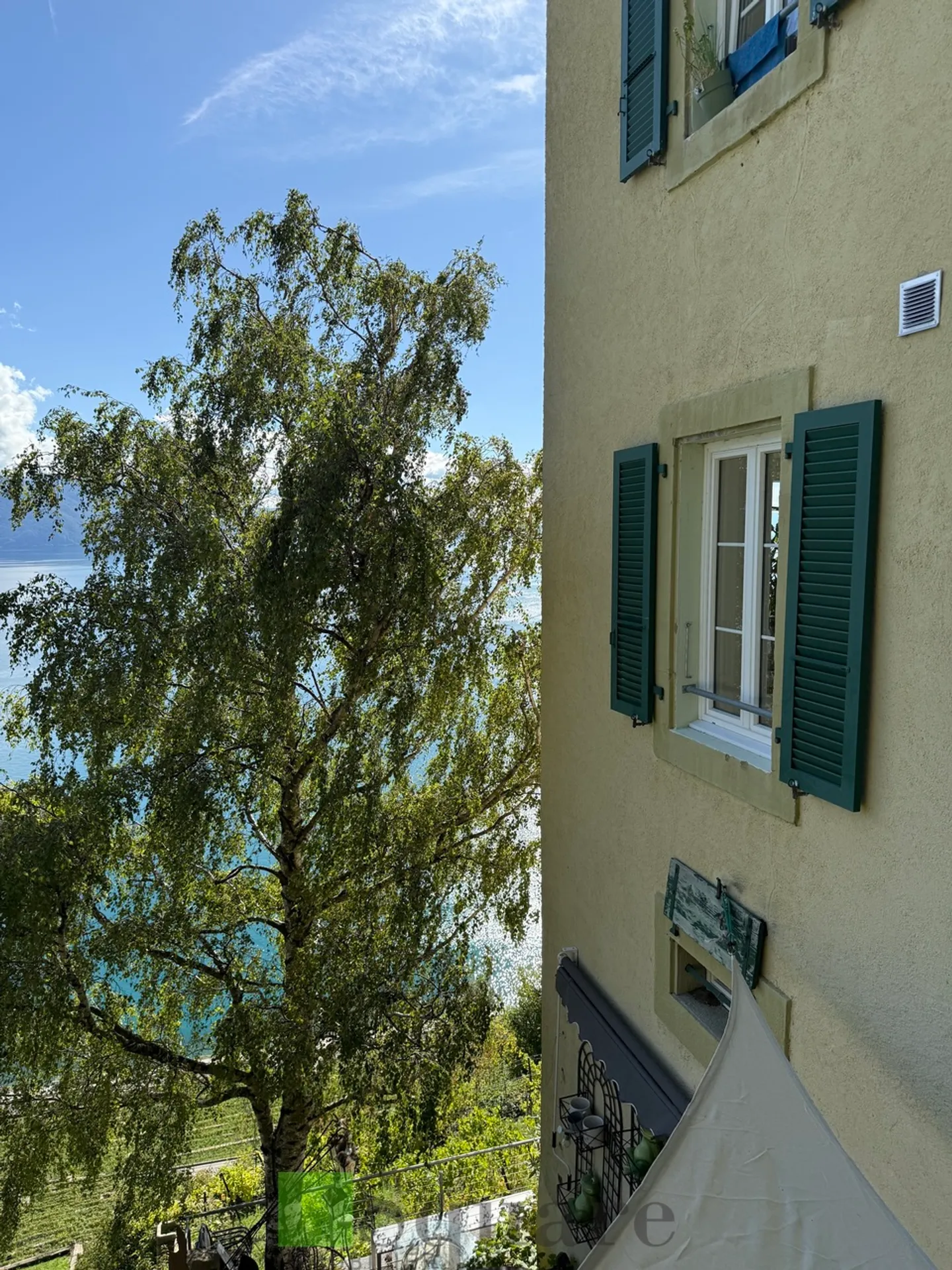Casa in affitto nel cuore del Dézaley - Foto 14 di 18