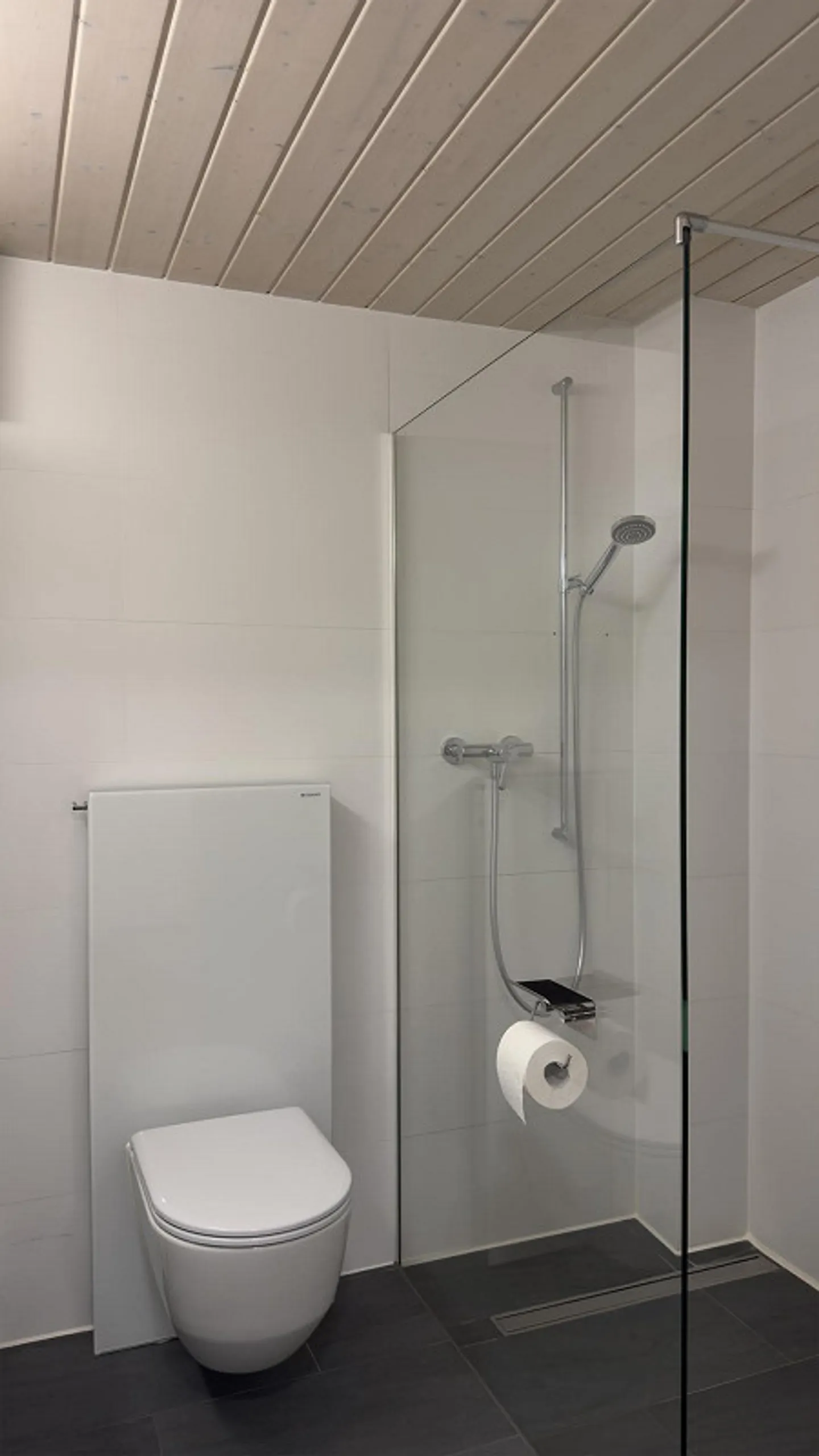 Appartamento duplex di 5,5 stanze vicino alla foresta di Allschwil - Foto 3 di 13