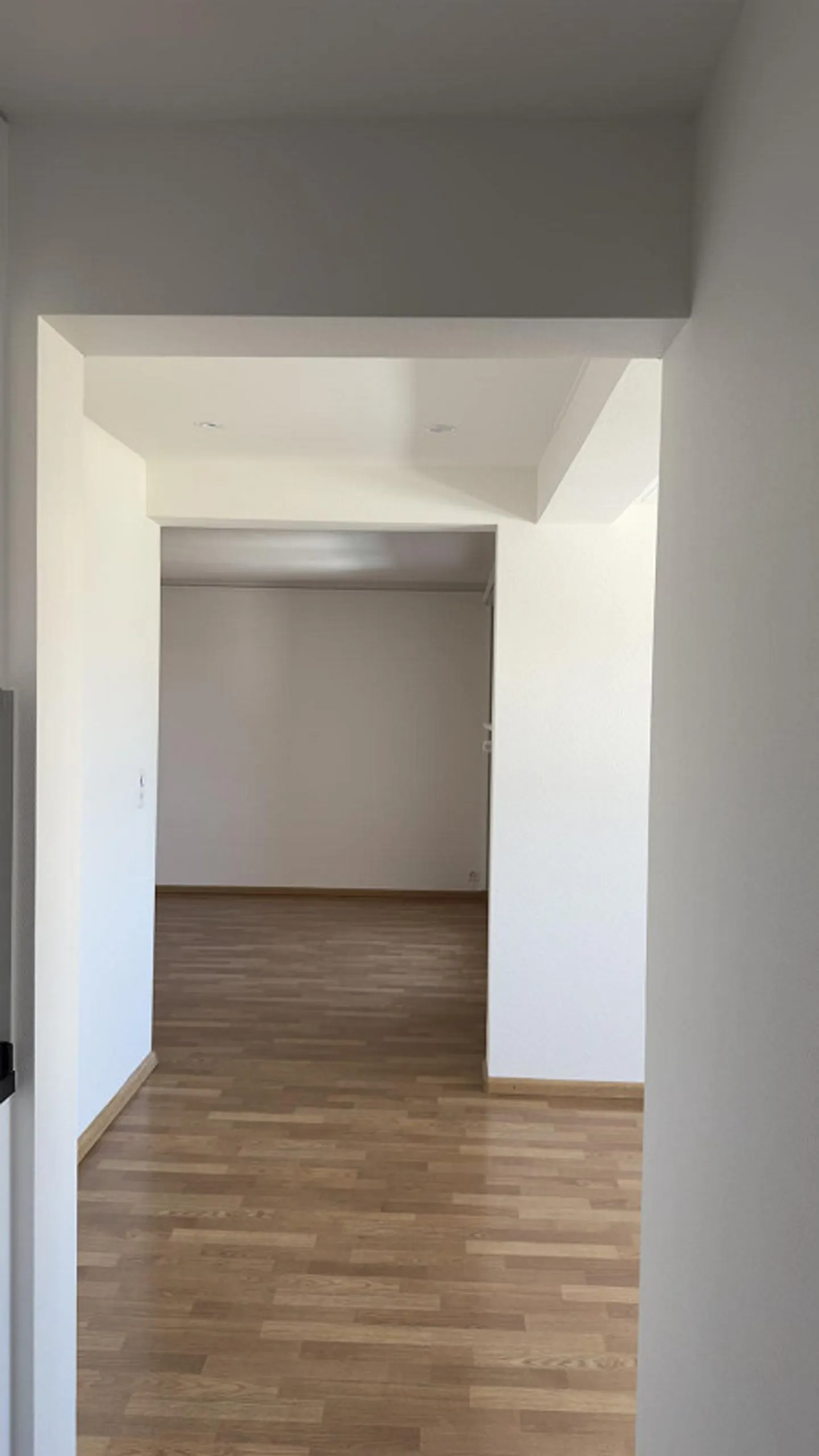 Appartamento duplex di 5,5 stanze vicino alla foresta di Allschwil - Foto 6 di 13