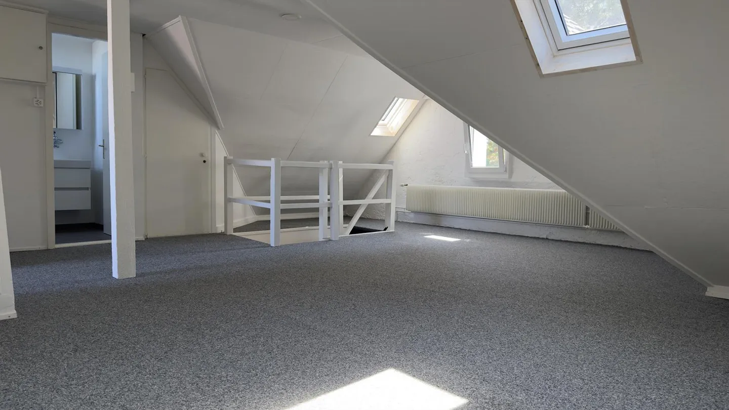 Appartamento duplex di 5,5 stanze vicino alla foresta di Allschwil - Foto 11 di 13